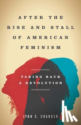 Chancer, Lynn S. - After the Rise and Stall of American Feminism