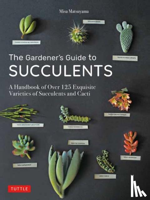 Matsuyama, Misa - The Gardener's Guide to Succulents