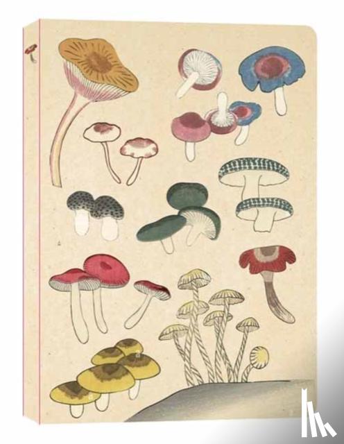  - Healing Mushrooms Lined Paperback Journal