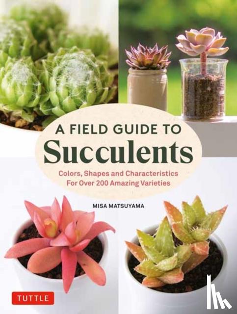 Matsuyama, Misa - A Field Guide to Succulents