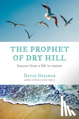 Gessner, David - The Prophet of Dry Hill