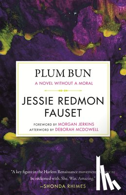 Fauset, Jessi Redmon - Plum Bun