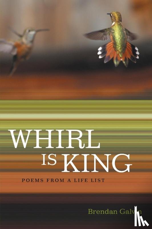 Galvin, Brendan - Whirl Is King