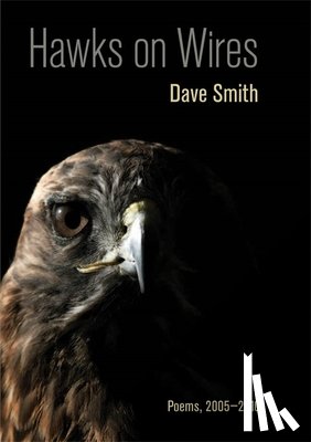 Smith, Dave - Hawks on Wires