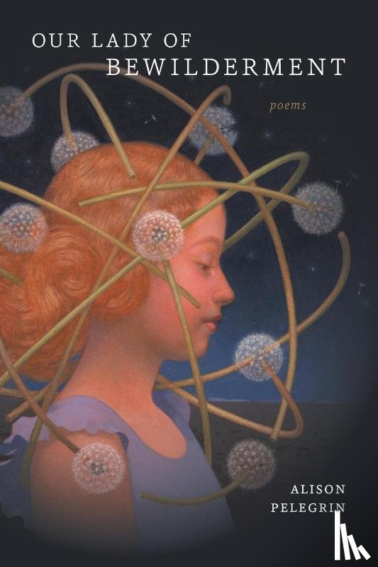 Pelegrin, Alison, Haymon, Ava Leavell - Our Lady of Bewilderment