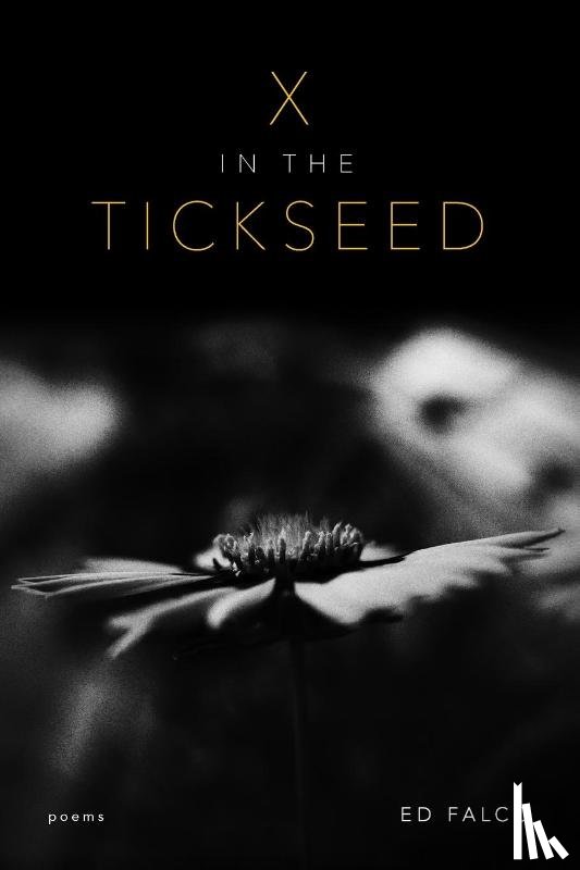 Falco, Ed - X in the Tickseed