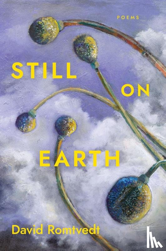 Romtvedt, David - Still on Earth