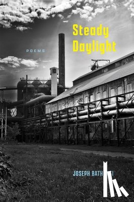 Bathanti, Joseph - Steady Daylight: Poems