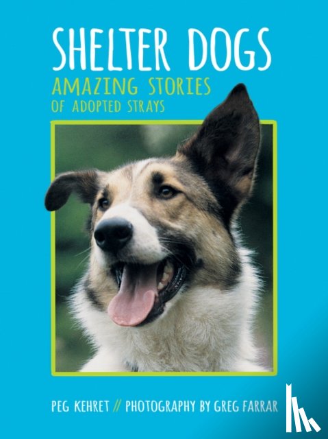 Kehret, Peg - Shelter Dogs