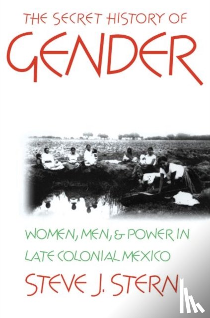 Stern, Steve J. - The Secret History of Gender