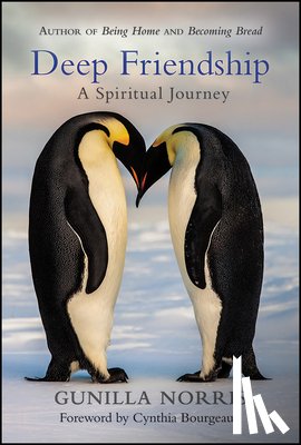 Norris, Gunilla - Deep Friendship: A Spiritual Journey