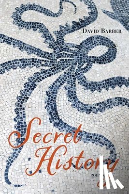 Barber, David - Secret History