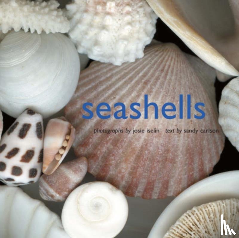 Iselin, Josie, Carlson, Sandy - Seashells