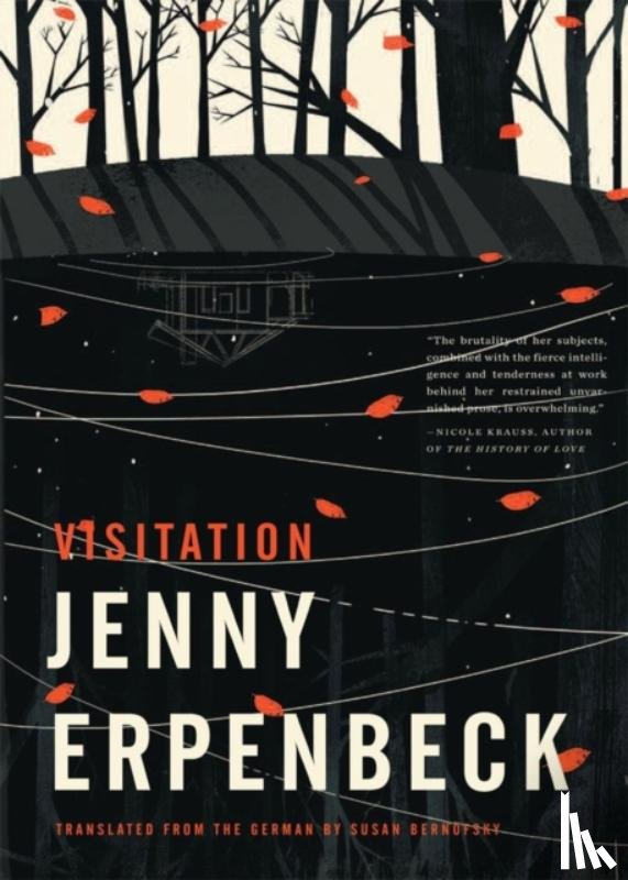 Erpenbeck, Jenny - Visitation