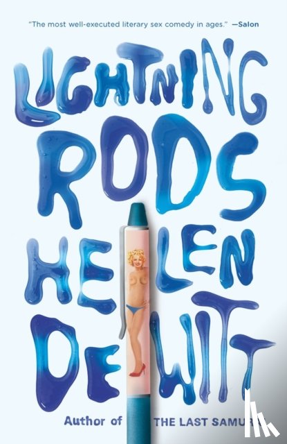 Dewitt, Helen - Lightning Rods