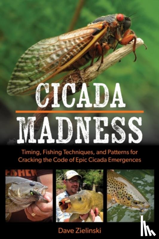 Zielinski, Dave - Cicada Madness