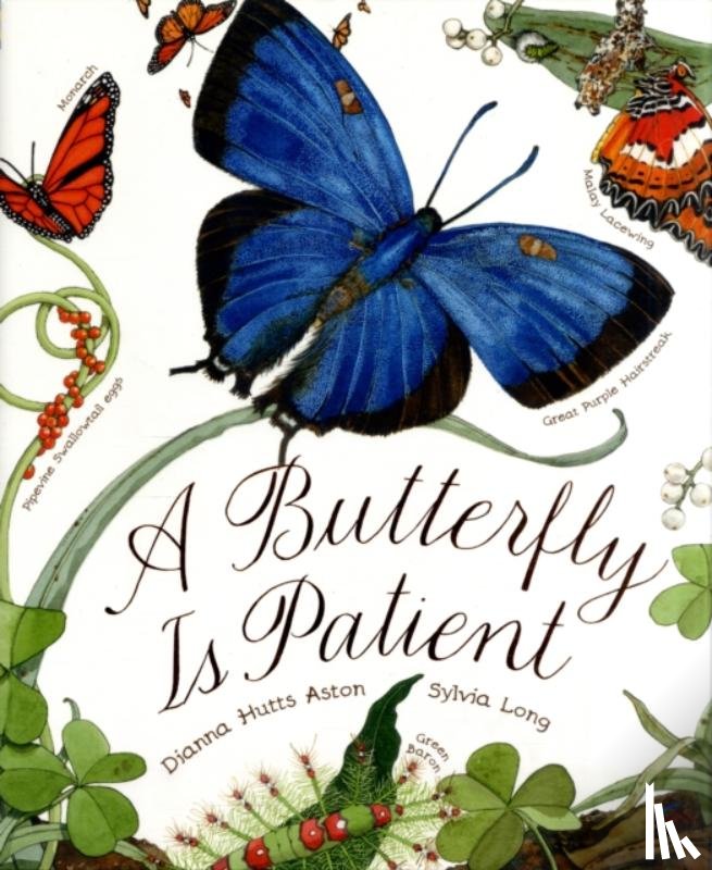 Hutts Aston, Dianna - Butterfly Is Patient