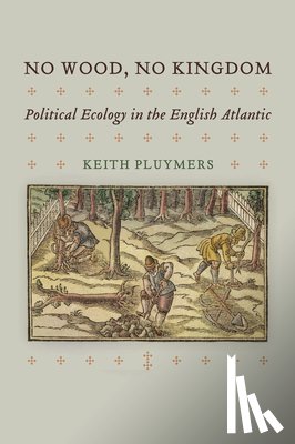 Pluymers, Keith - No Wood, No Kingdom