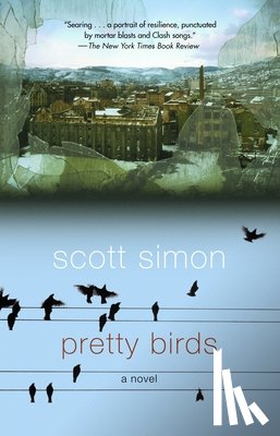 Simon, Scott - Pretty Birds