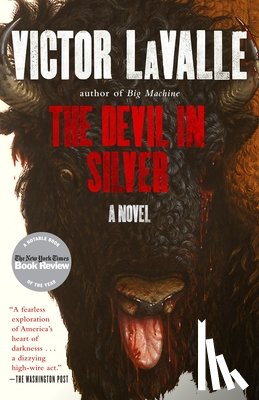Lavalle, Victor - Lavalle, V: Devil in Silver