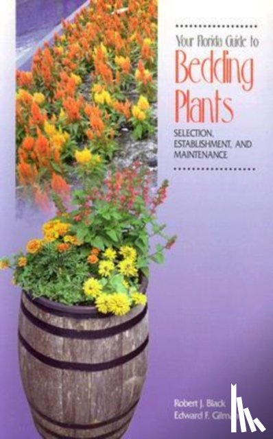 Black - Your Florida Guide to Bedding Plants