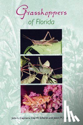 Capinera, John L. - Capinera, J: Grasshoppers of Florida
