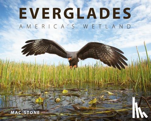 Stone, Mac - Everglades