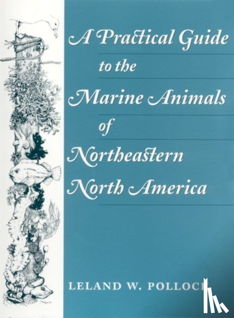 Pollock, Leland - A Practical Guide to the Marine Animals of Northeastern North America