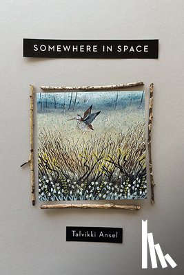 Ansel, Ms Talvikki - Somewhere in Space