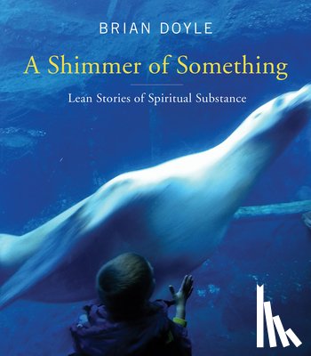 Doyle, Brian - A Shimmer of Something