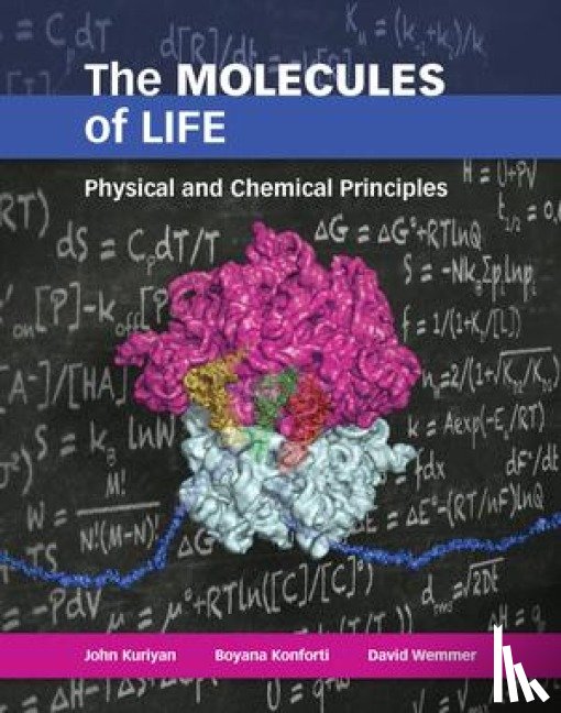 Kuriyan, John, Konforti, Boyana, Wemmer, David - The Molecules of Life