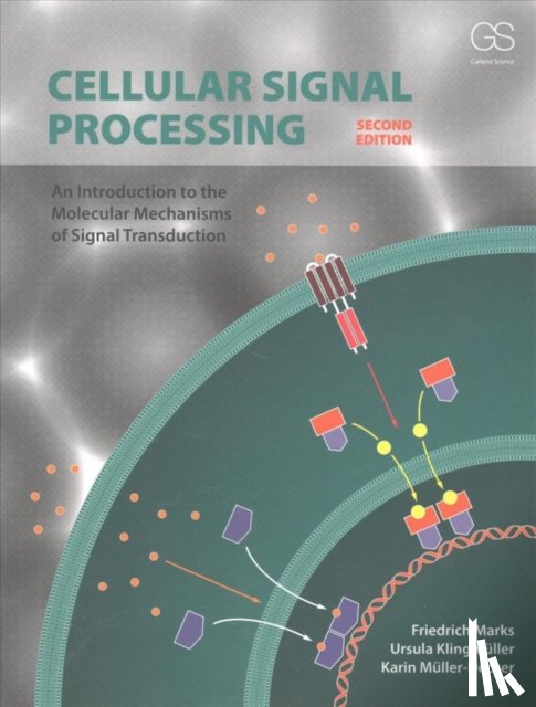 Marks, Friedrich (University of Heidelberg, Klingmuller, Ursula (University of Heidelberg, Muller-Decker, Karin (University of Heidelberg - Cellular Signal Processing