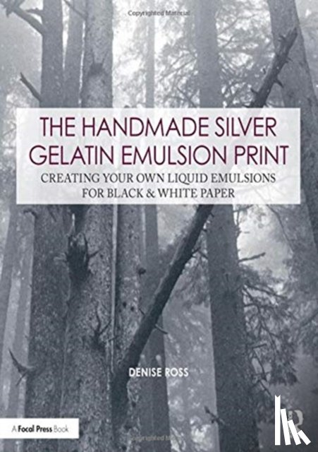 Ross, Denise - The Handmade Silver Gelatin Emulsion Print