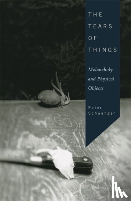 Schwenger, Peter - The Tears of Things