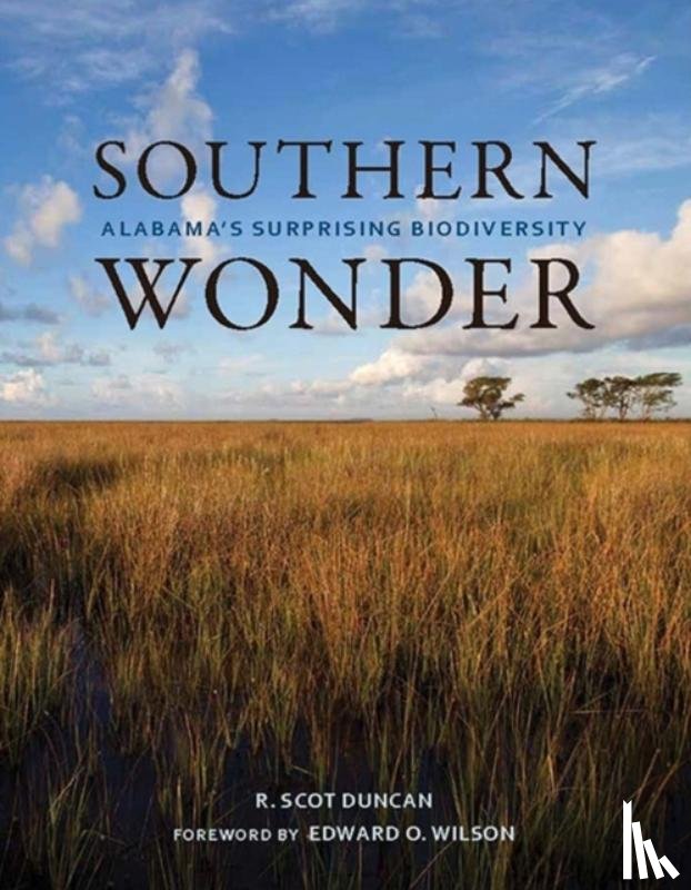 Duncan, R. Scot - Southern Wonder
