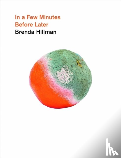 Hillman, Brenda - In a Few Minutes Before Later