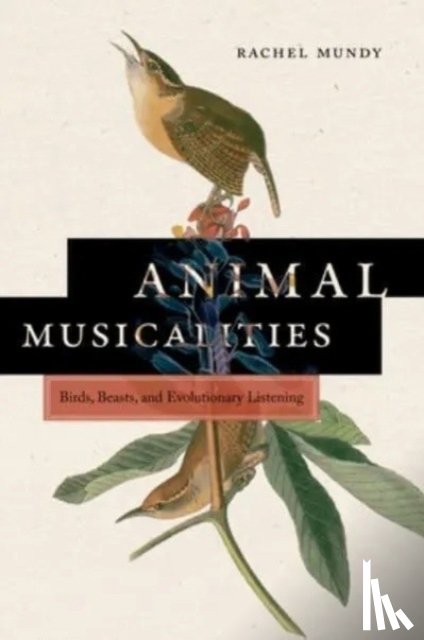 Mundy, Rachel - Animal Musicalities