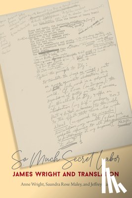 Wright, Anne, Maley, Saundra Rose, Katz, Jeffrey - So Much Secret Labor