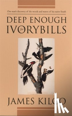 Kilgo, James - Deep Enough for Ivorybills