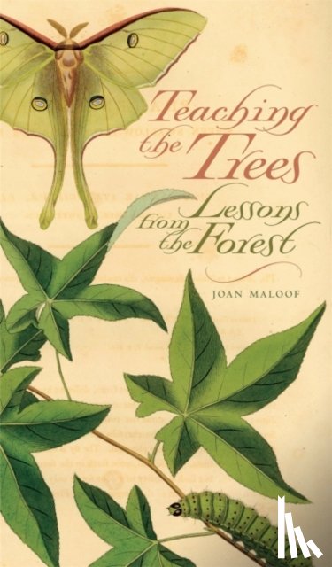 Maloof, Joan - Teaching the Trees