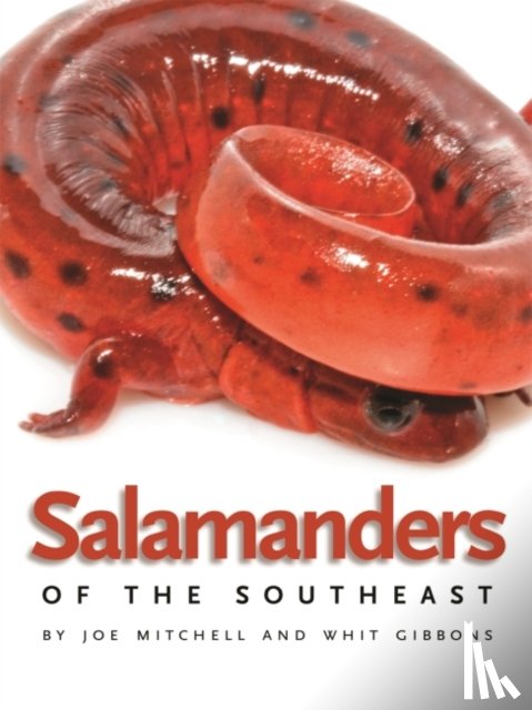 Mitchell, Joe, Gibbons, Whit - Salamanders of the Southeast