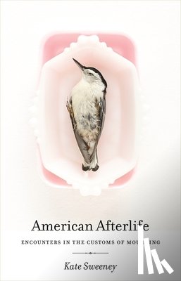 Sweeney, Kate - American Afterlife