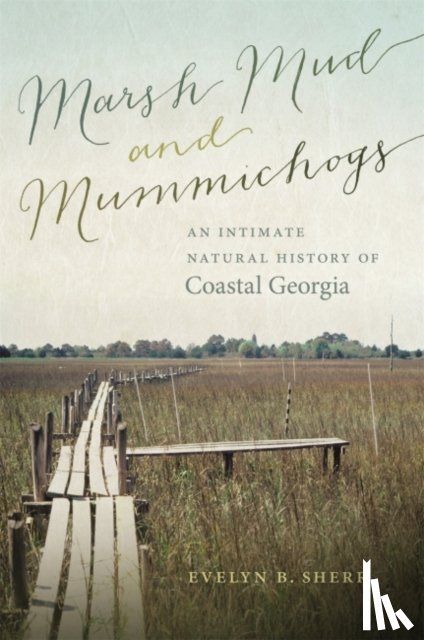 Sherr, Evelyn B. - Marsh Mud and Mummichogs
