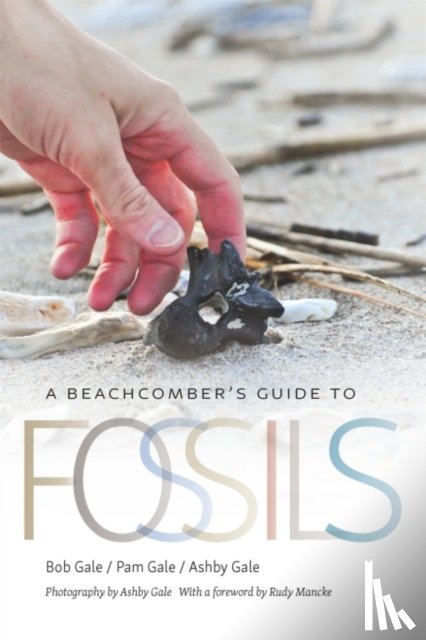 Gale, Bob, Gale, Pam, Gale, Ashby - A Beachcomber's Guide to Fossils