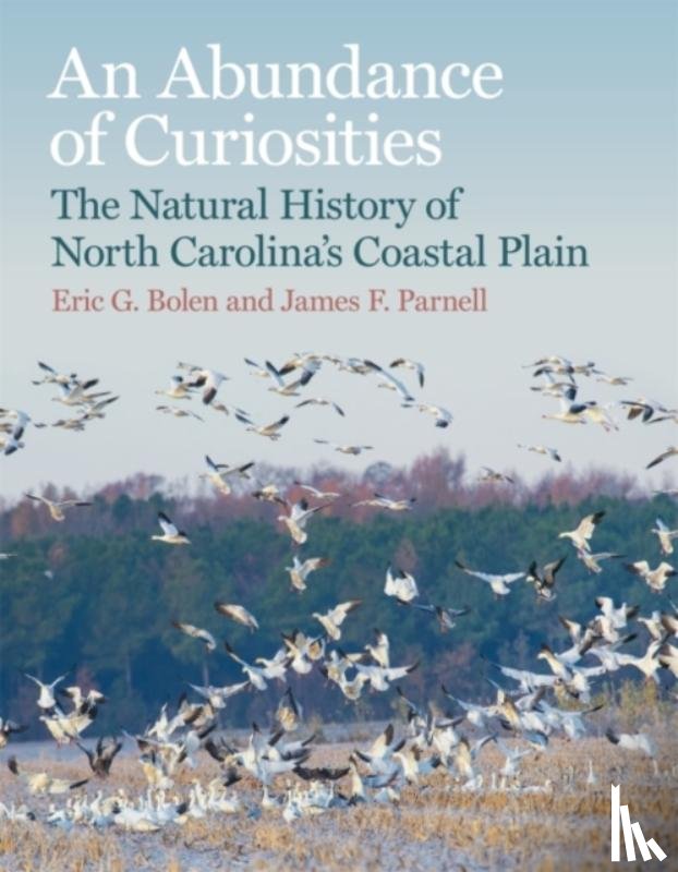 Bolen, Eric G., Parnell, James F., Earnhardt, Tom - An Abundance of Curiosities