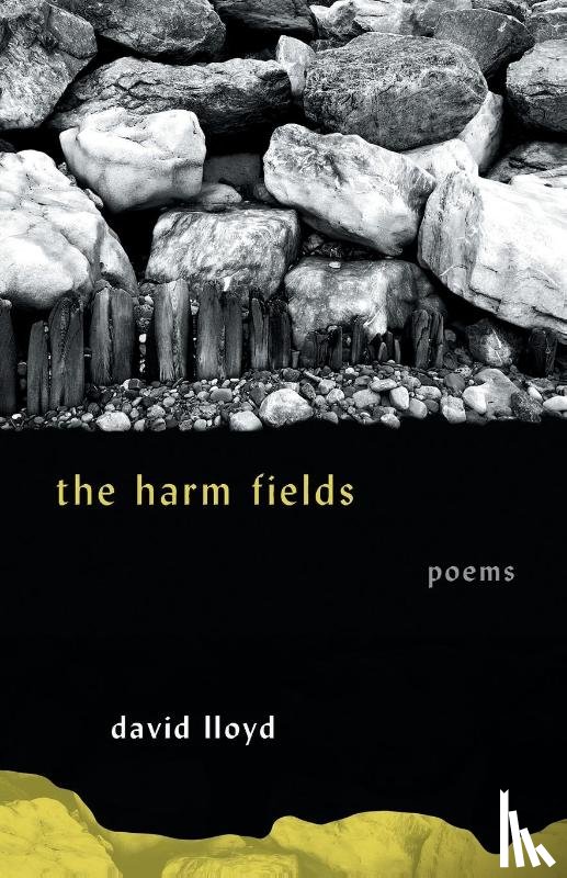 Lloyd, David - The Harm Fields