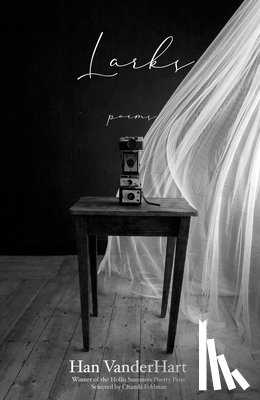 VanderHart, Han - Larks