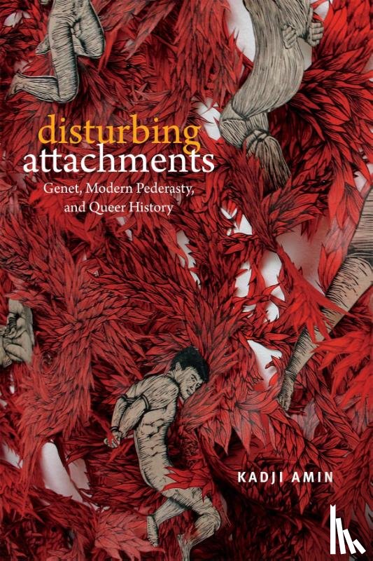 Amin, Kadji - Disturbing Attachments