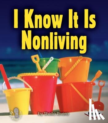 Rivera, Sheila - I Know It Is Nonliving