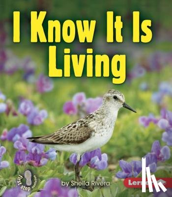 Rivera, Sheila - I Know It Is Living